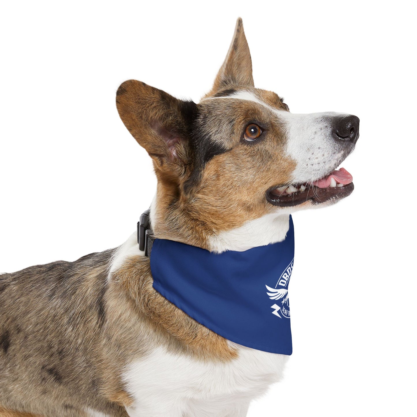 DBDR Blue Pet Bandana Collar - for the DeafBlind dog in your life!