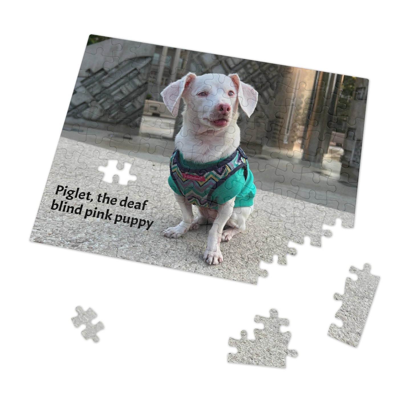 Piglet, the deaf blind pink puppy Jigsaw Puzzle with Tin