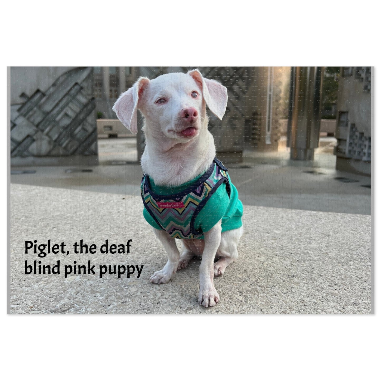 Piglet, the deaf blind pink puppy Jigsaw Puzzle with Tin