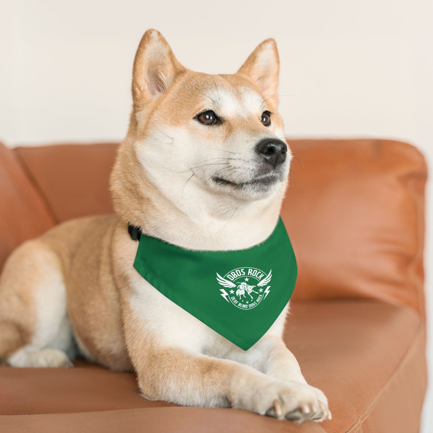 Green DBDR (Deaf Blind Dogs Rock) Bandana Collar - Stylish Dog Accessory for Celebrations, Holidays & Everyday Wear