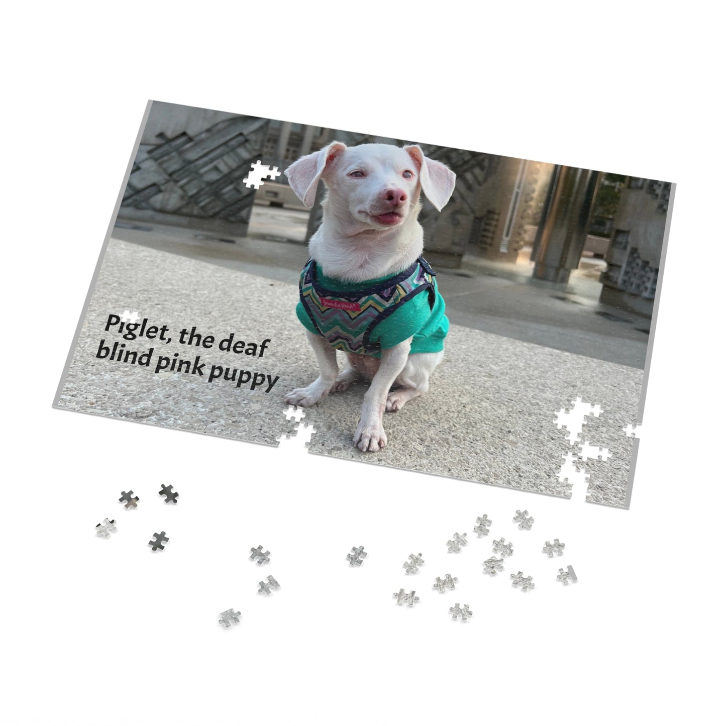 Piglet, the deaf blind pink puppy Jigsaw Puzzle with Tin