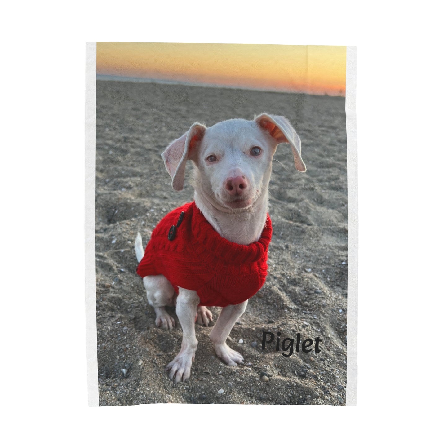 Piglet on the Beach Velveteen Plush Blanket