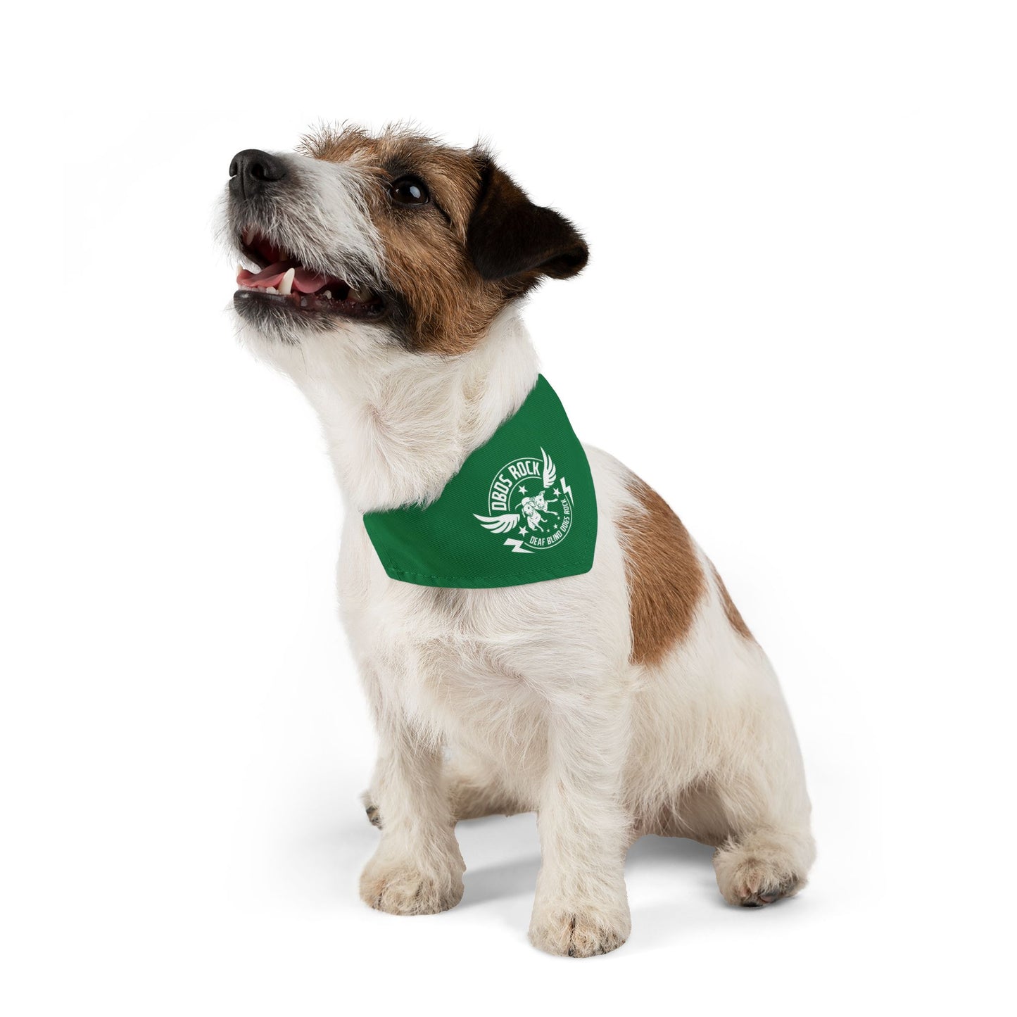 Green DBDR (Deaf Blind Dogs Rock) Bandana Collar - Stylish Dog Accessory for Celebrations, Holidays & Everyday Wear