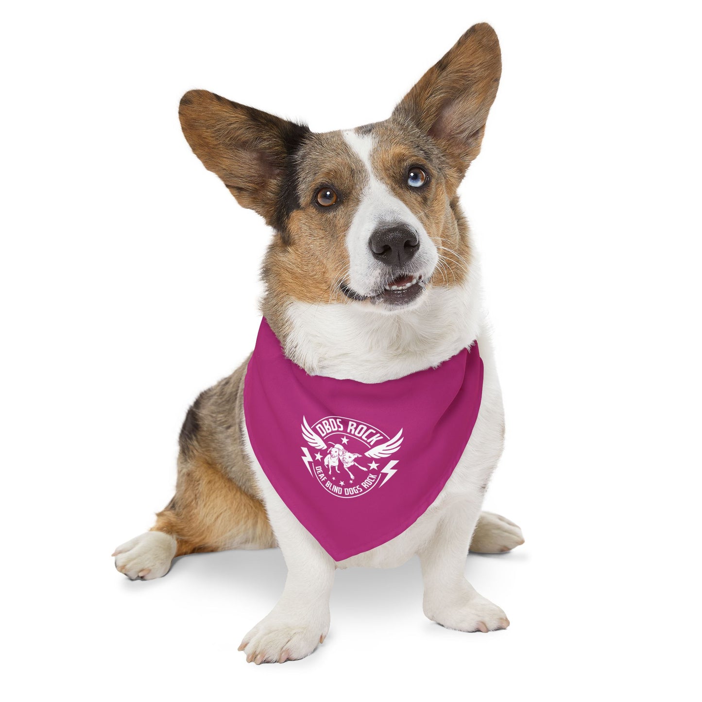 DBDR Pink Pet Bandana Collar - for the DeafBlind dog in your life!