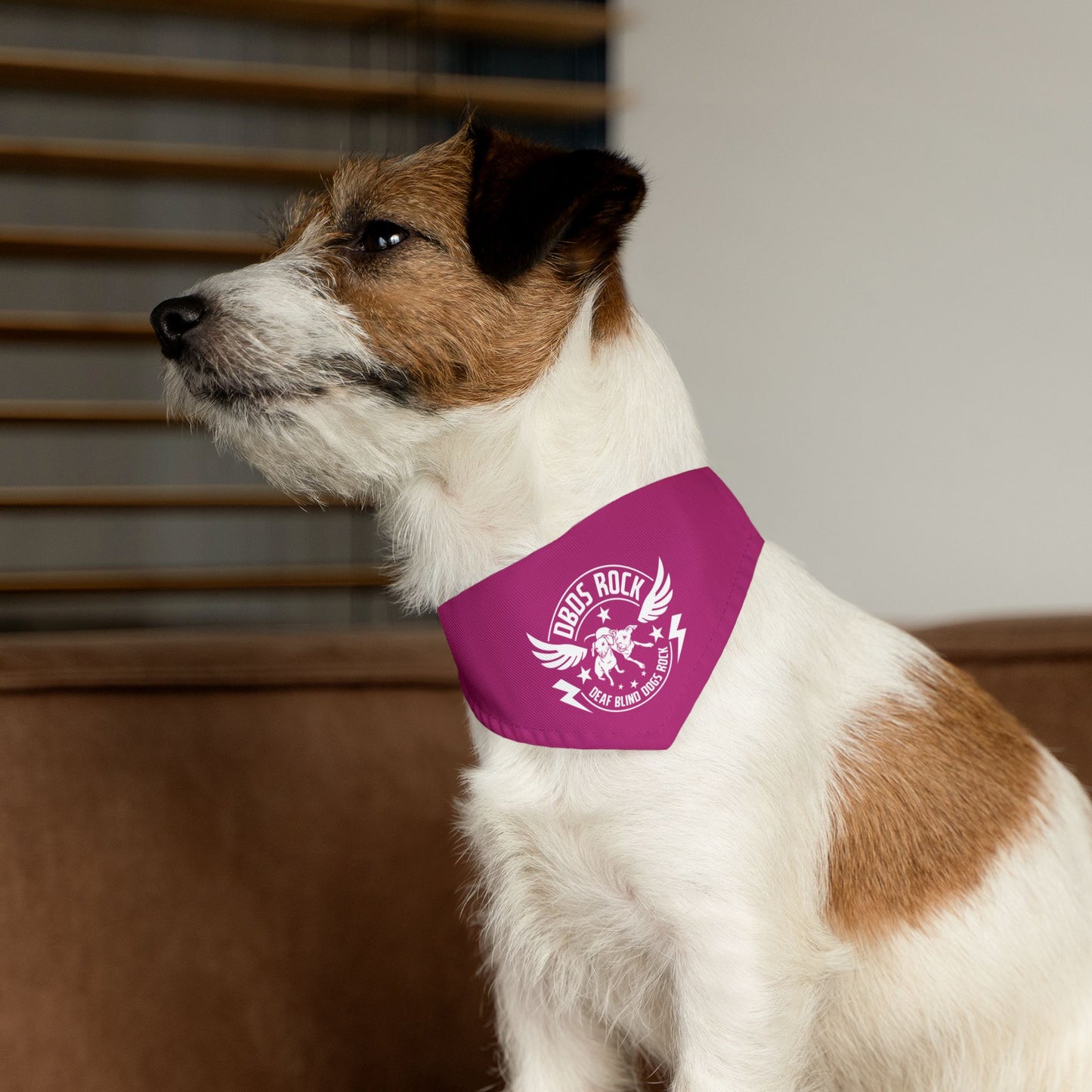 DBDR Pink Pet Bandana Collar - for the DeafBlind dog in your life!