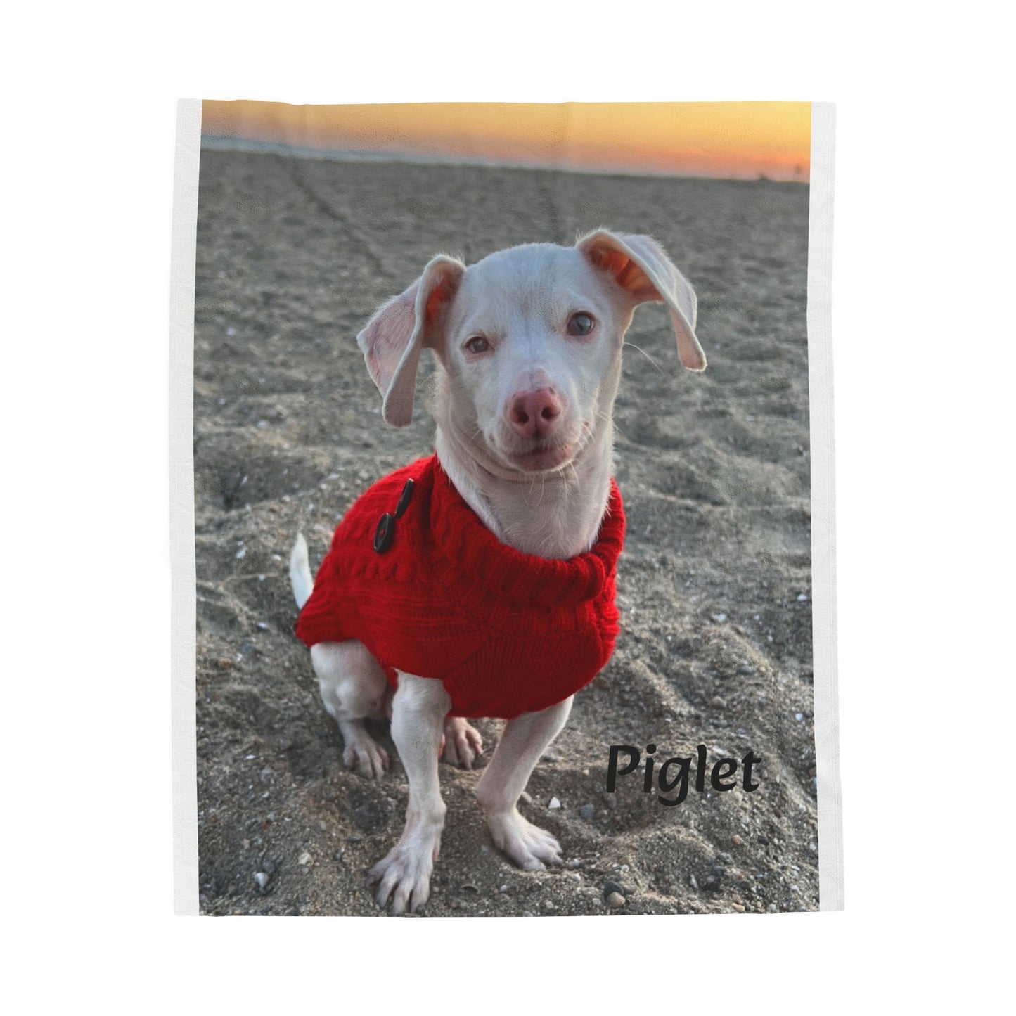 Piglet on the Beach Velveteen Plush Blanket