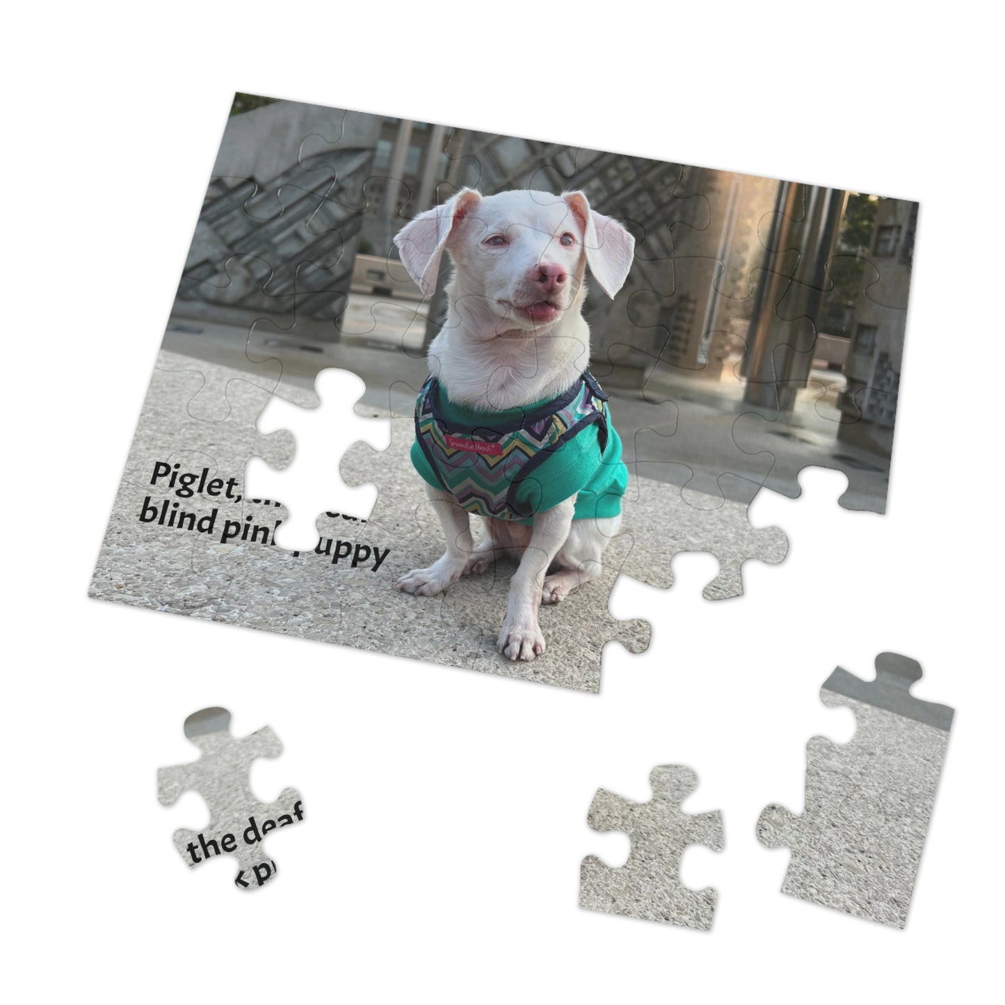 Piglet, the deaf blind pink puppy Jigsaw Puzzle with Tin