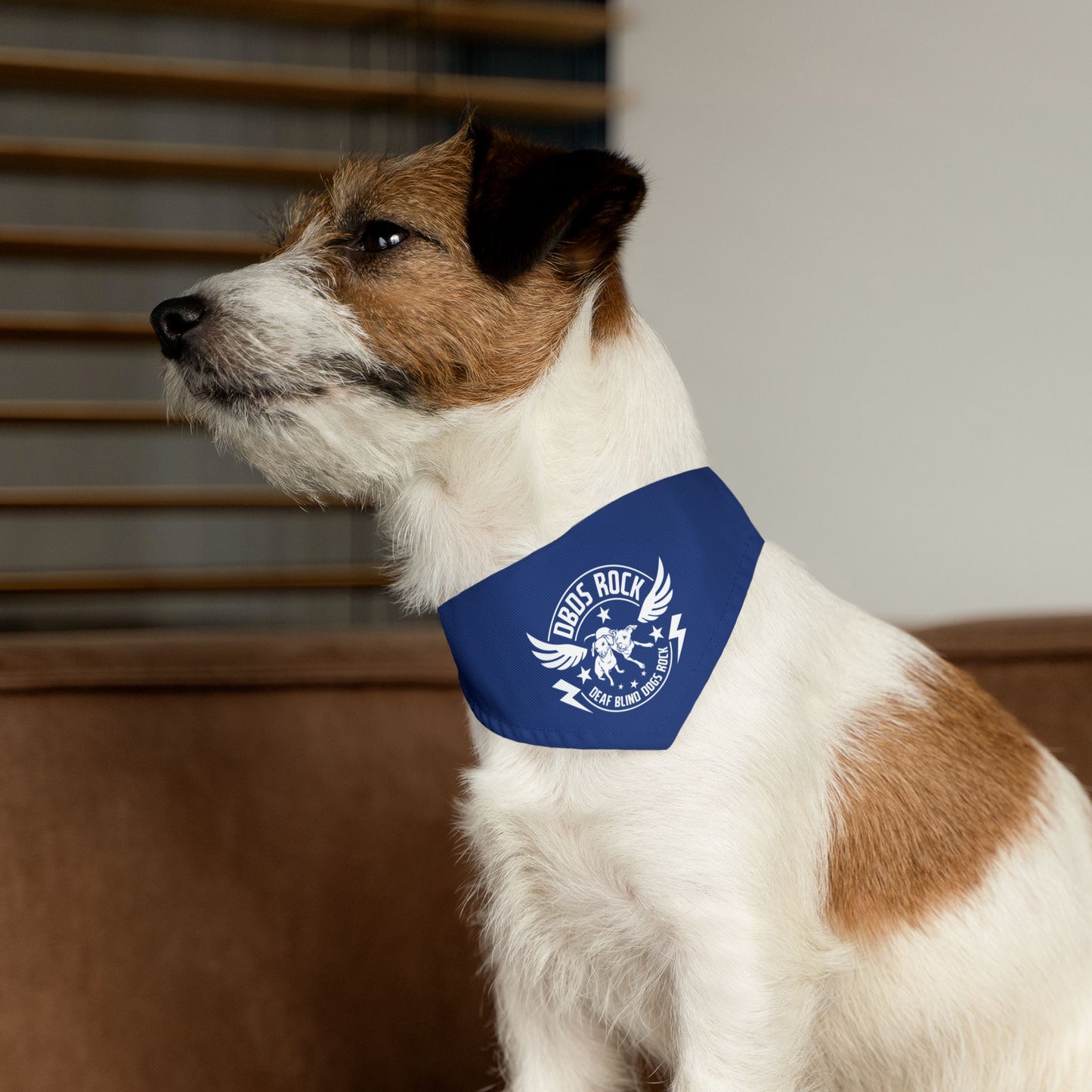 DBDR Blue Pet Bandana Collar - for the DeafBlind dog in your life!