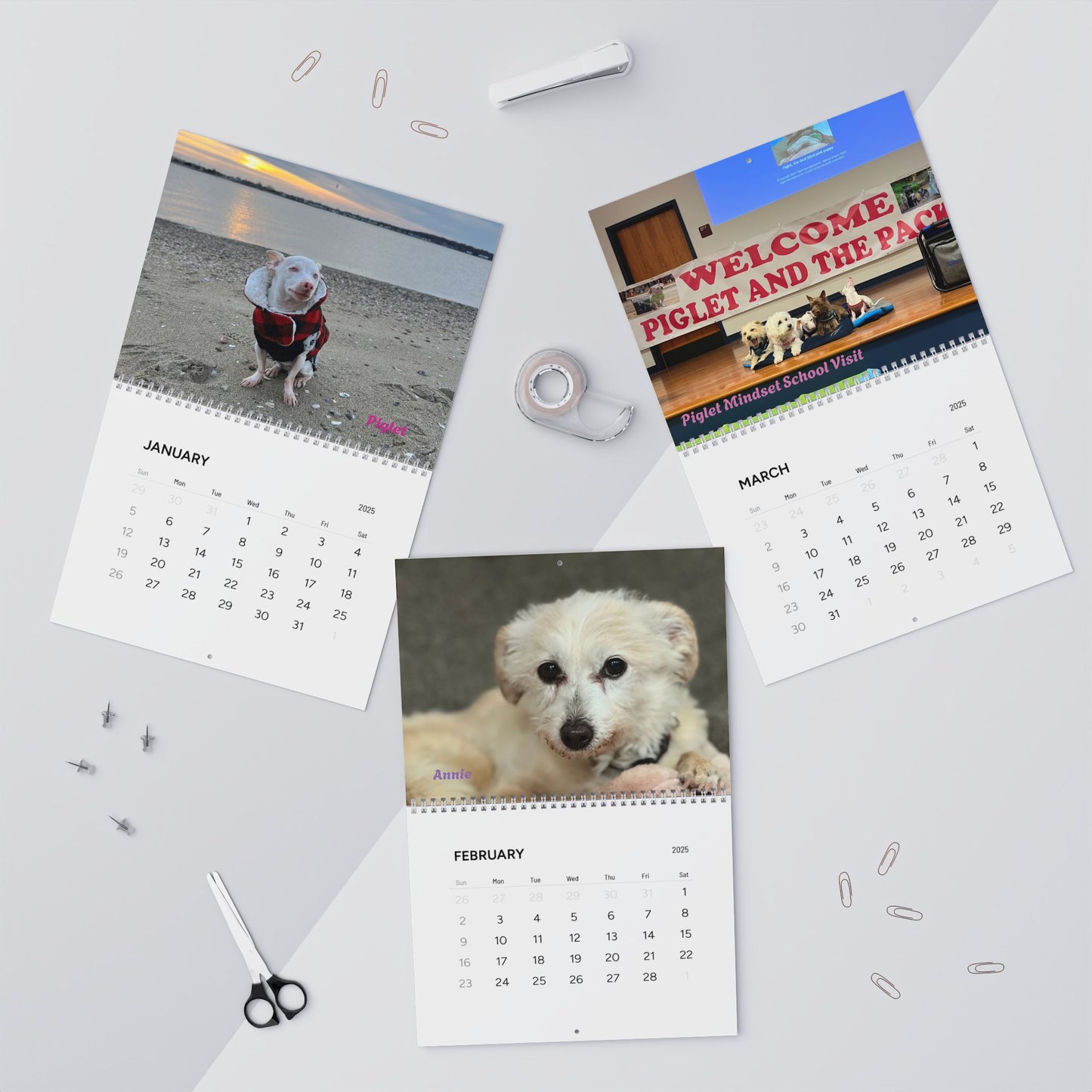 Piglet's Pack Portraits, Official 2025 Calendar of Piglet, the deaf blind pink puppy