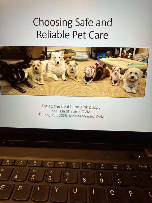 Choosing Safe Reliable Pet Care Webinar Recording with PDFs of presentation and pet care forms