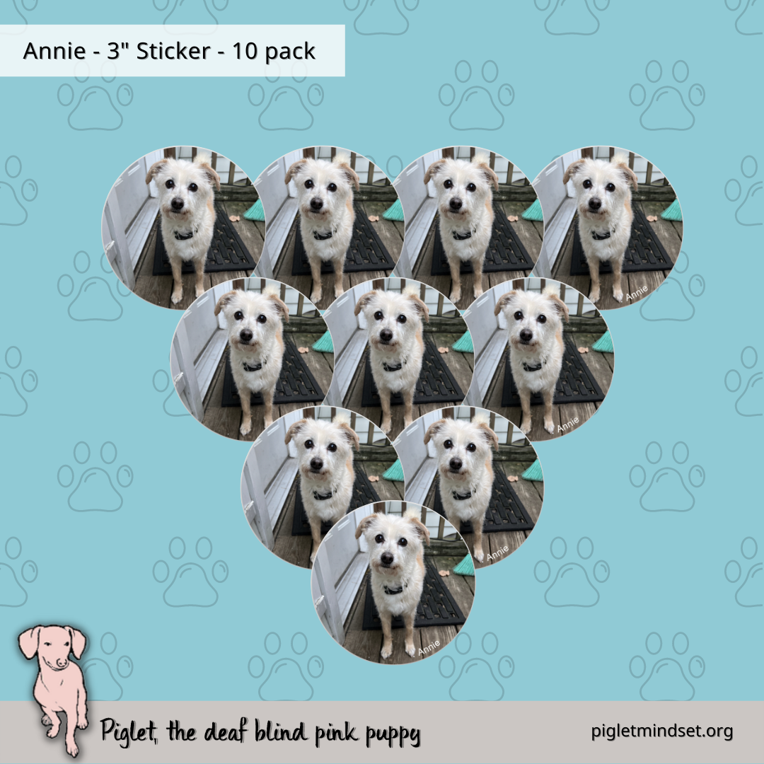 Annie 3 inch sticker 10 pack
