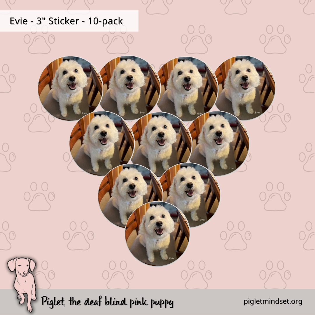 Evie 3 inch sticker 10 pack