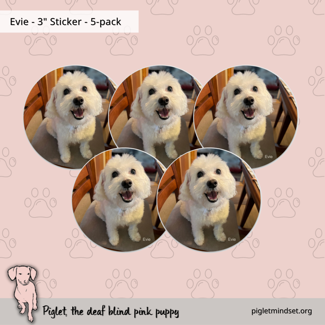 Evie 3 inch sticker 5 pack