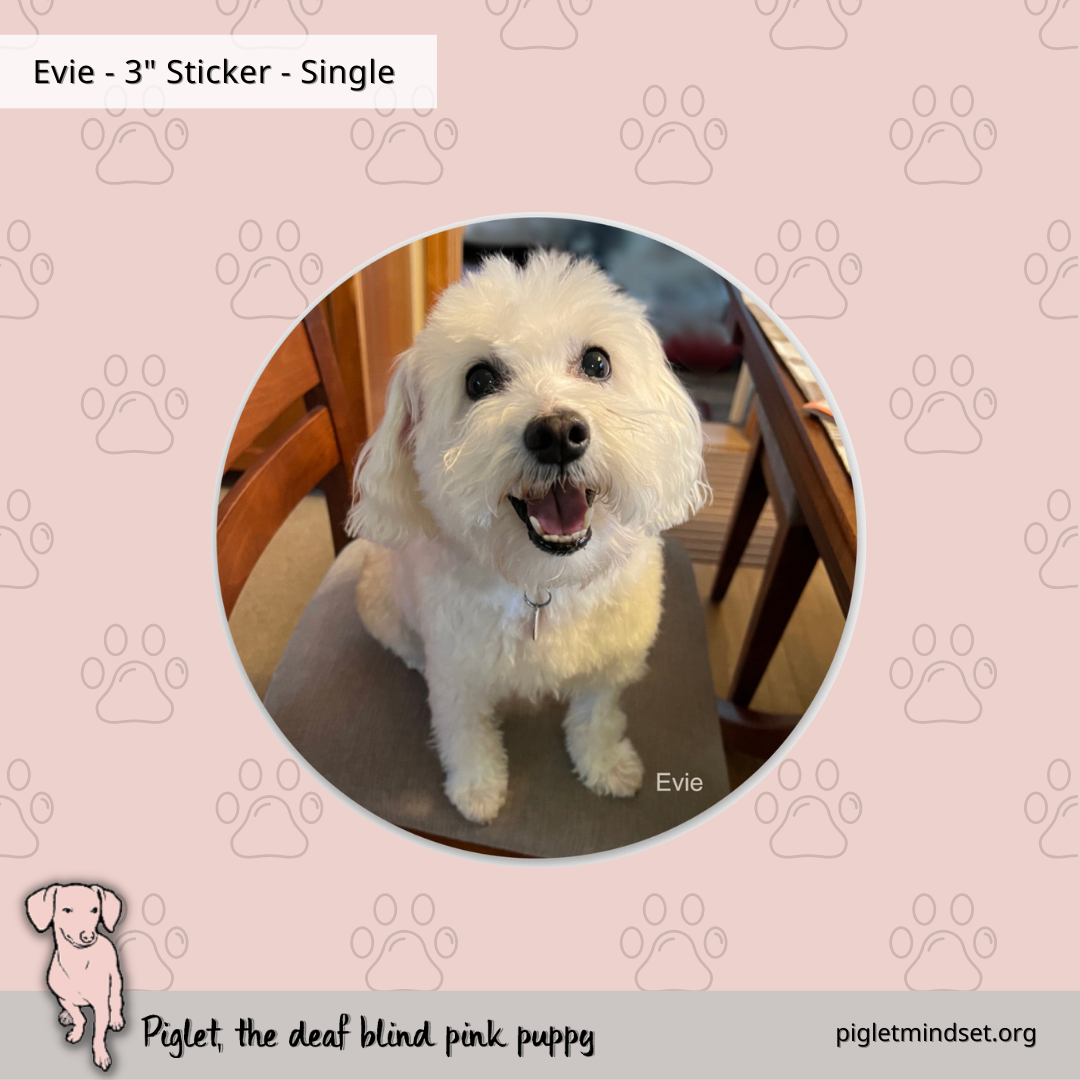 Evie 3 inch sticker single