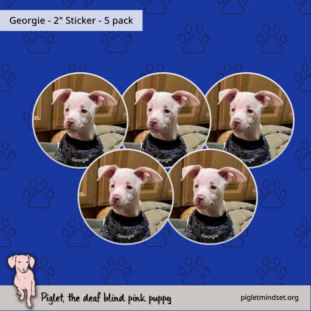 5 pack of inch stickers of little Georgie