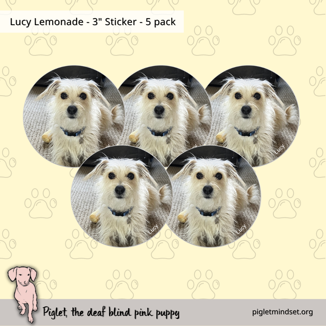 Lucy Lemonade 3 inch sticker 5 pack