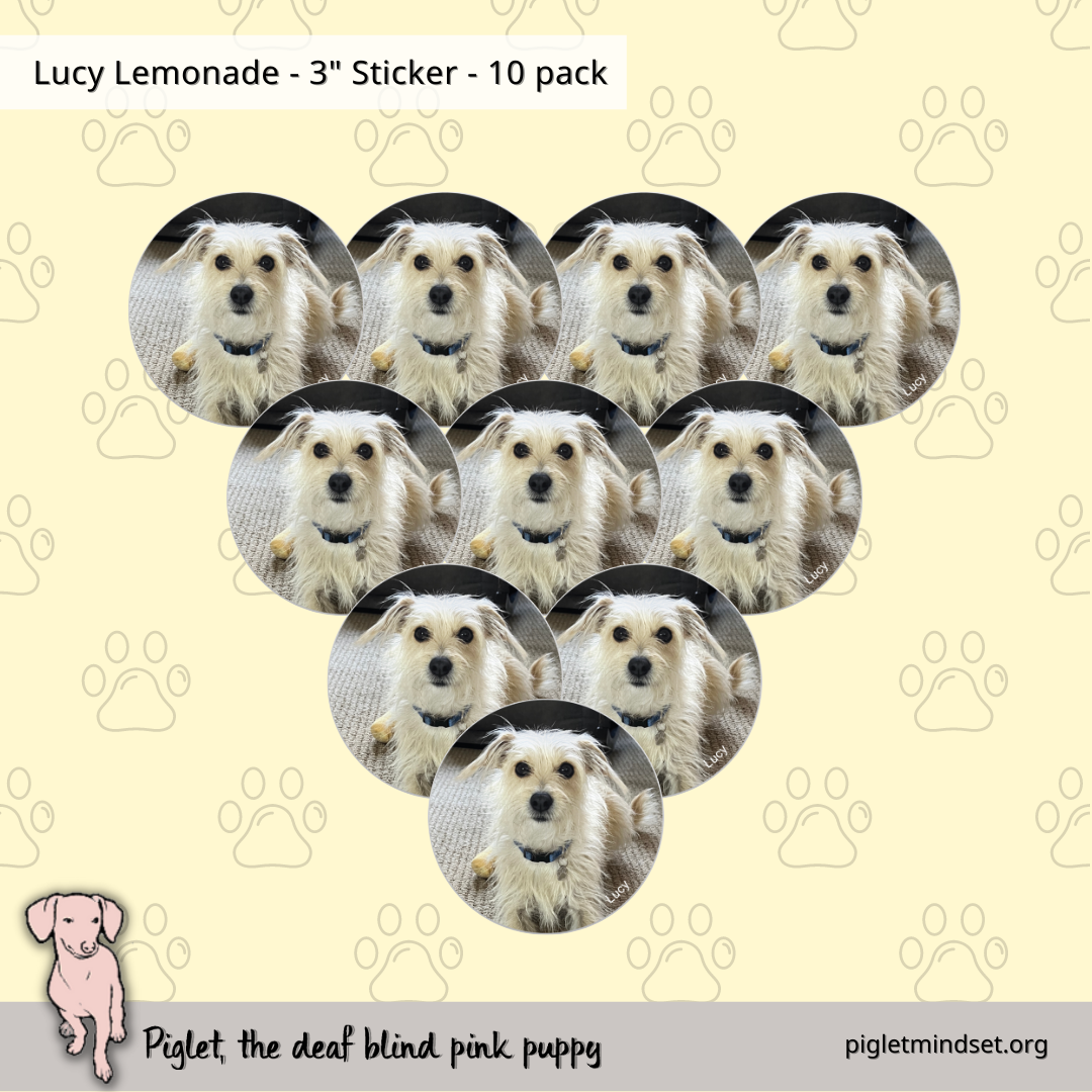 Lucy Lemonade 3 inch sticker 10 pack