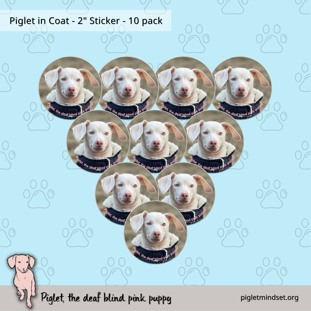 Piglet in Coat - 2" Sticker