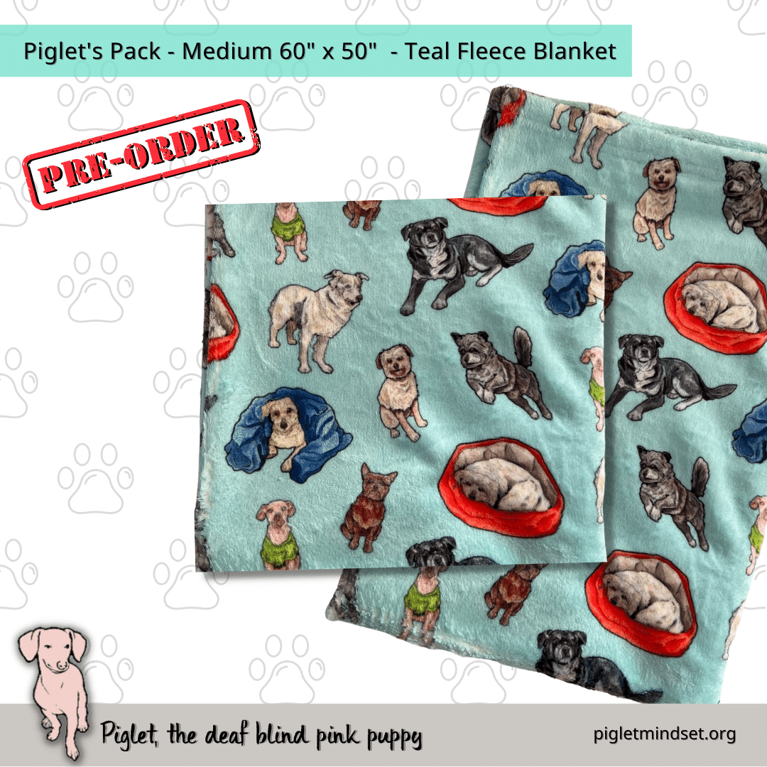 Piglet's Inclusion Pack - Fleece Blankets - 15 Variations!