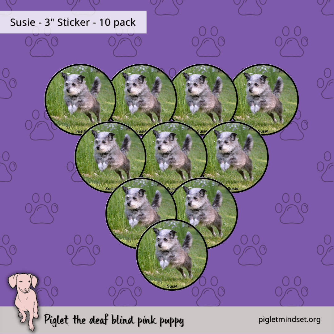 Susie 3 inch sticker 10 pack