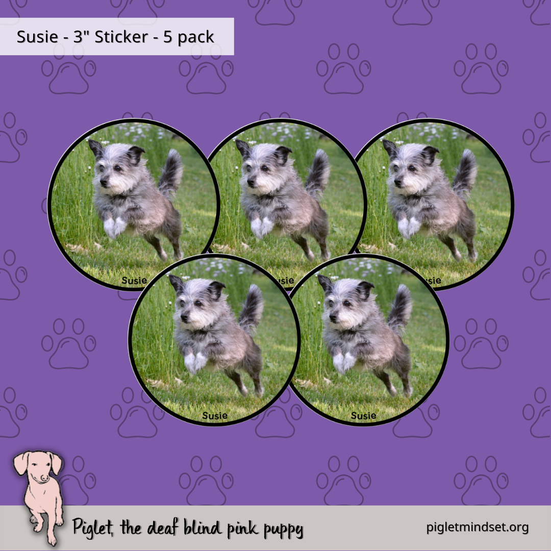 Susie 3 inch sticker 5 pack