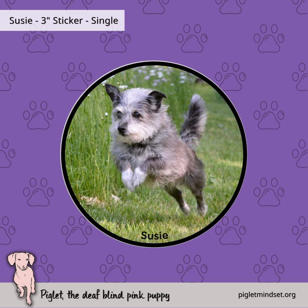 Susie 3 inch sticker single